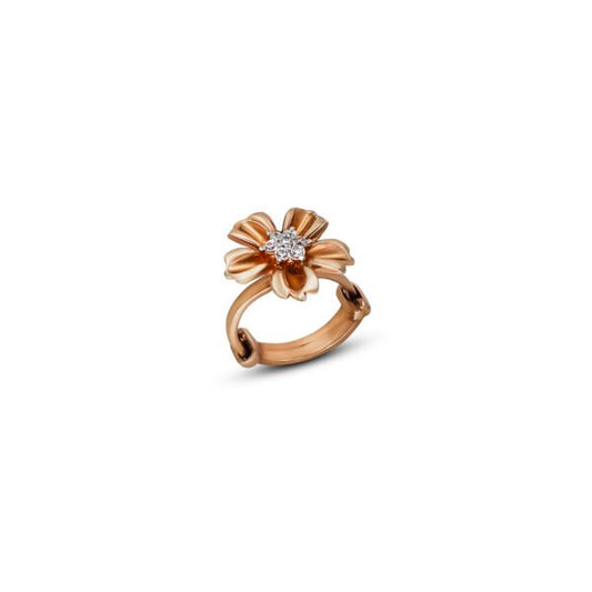 Aria Glow Premium Silver Jewelry