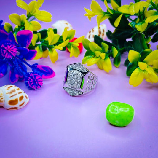 Premium Quality Silver Rings for Men