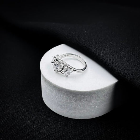 Eternal Embrace Silver Rings