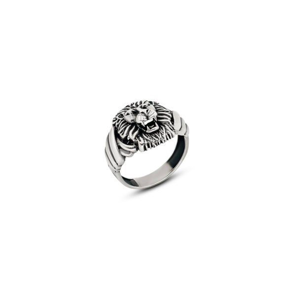 Eternal Edge Stylish Silver Ring for Men